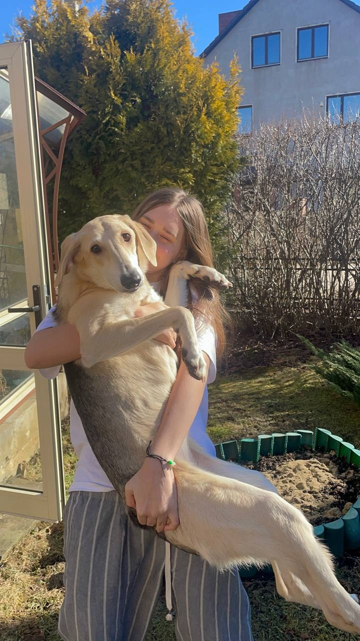 Уже дома. Забери домой друга