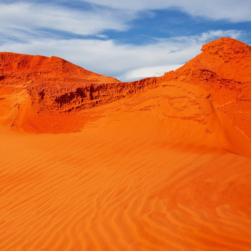 Бесчеловечно. натюрморт. пейзаж. Мастерская Демченко