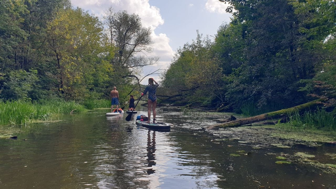 Сплав на сапах | 03.09.2023. Галерея Фантим