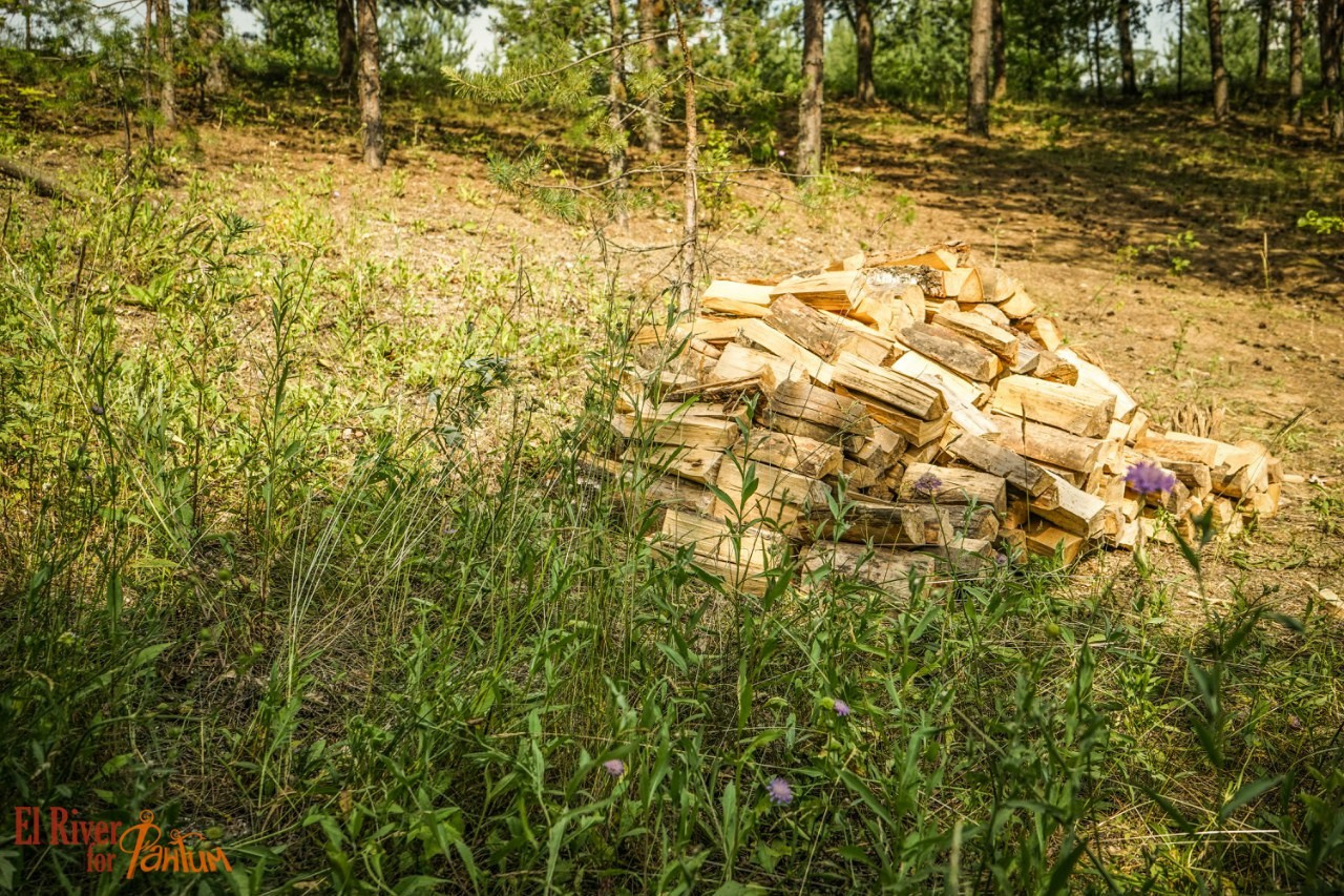 Походная романтика 18! Дети цветов | 01-03.07.2016. Галерея Фантим