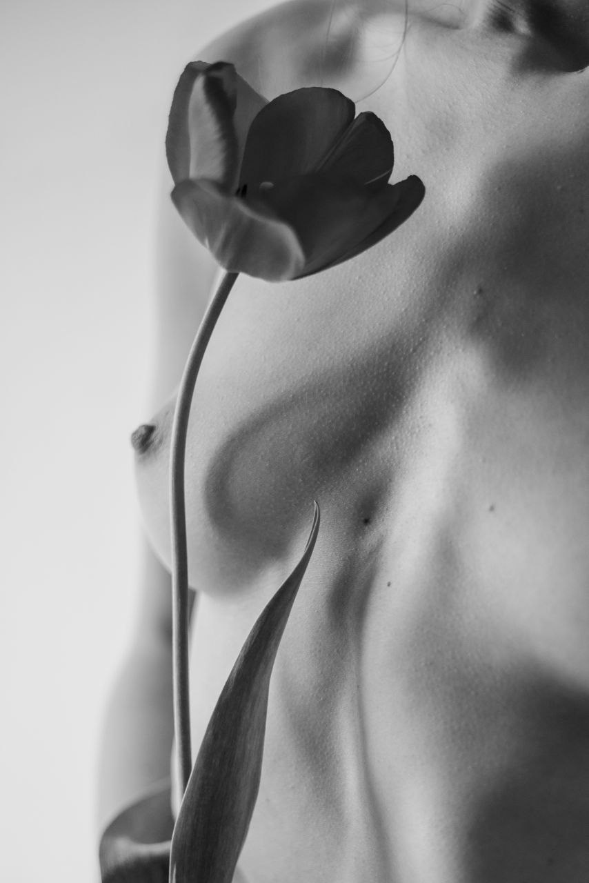 Обнаженное. Мастерская Демченко