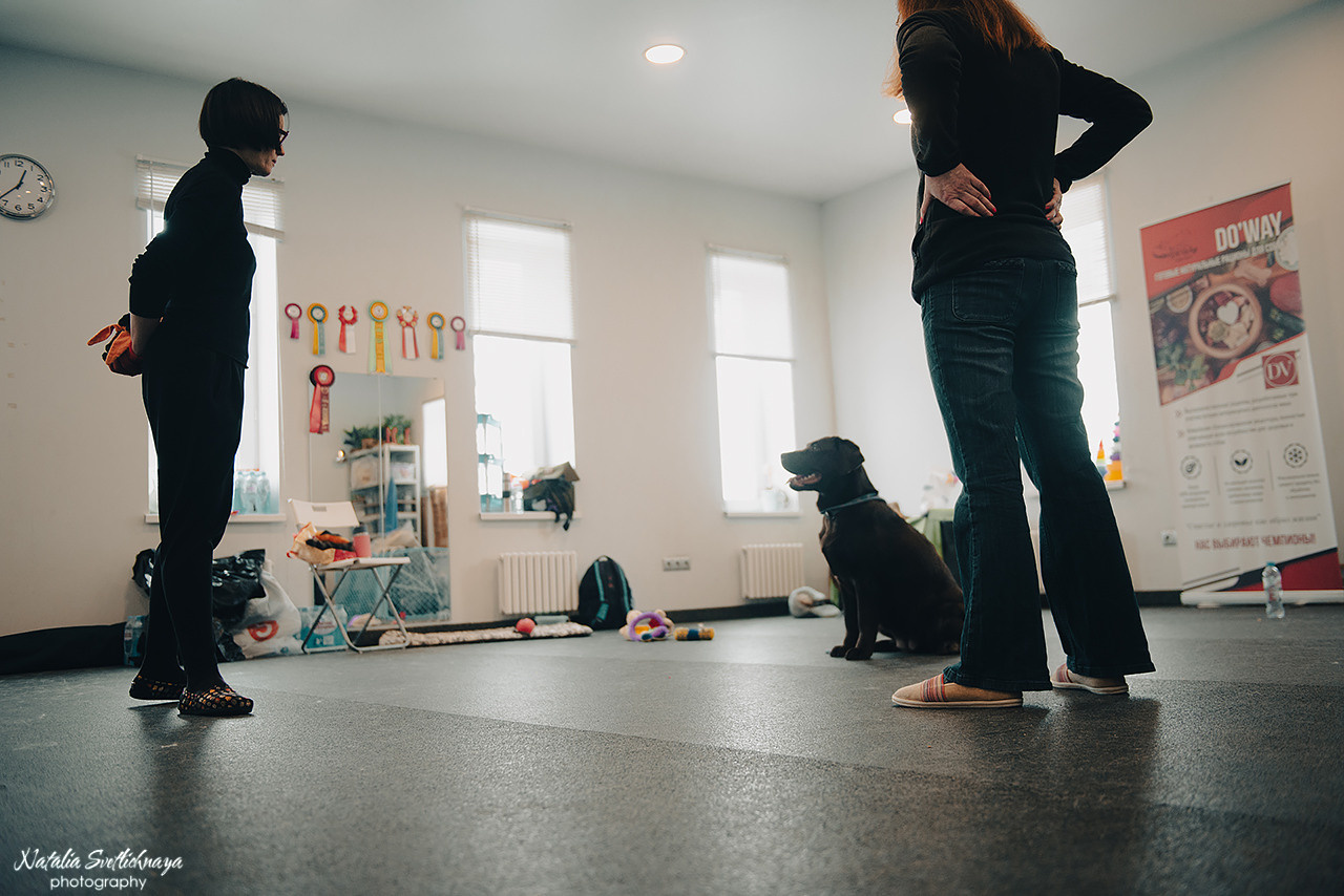 Семинар с Марией Рыбкиной «Игры с собаками» (24.02.2023). Фотограф-анималист Наталья Светличная