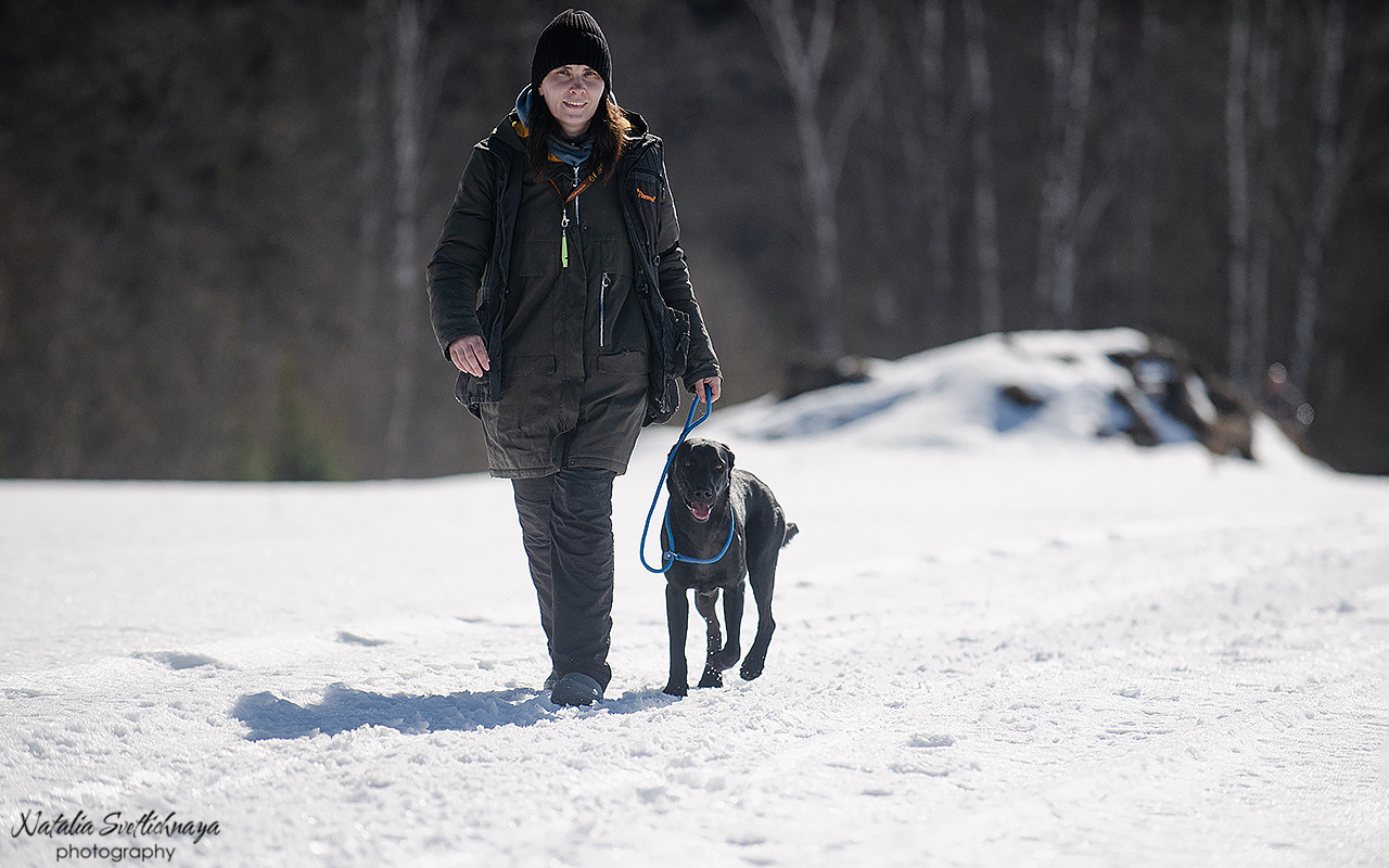 Тренировочный воркинг тест Школы Шмеля 18 марта 2023. Фотограф-анималист Наталья Светличная