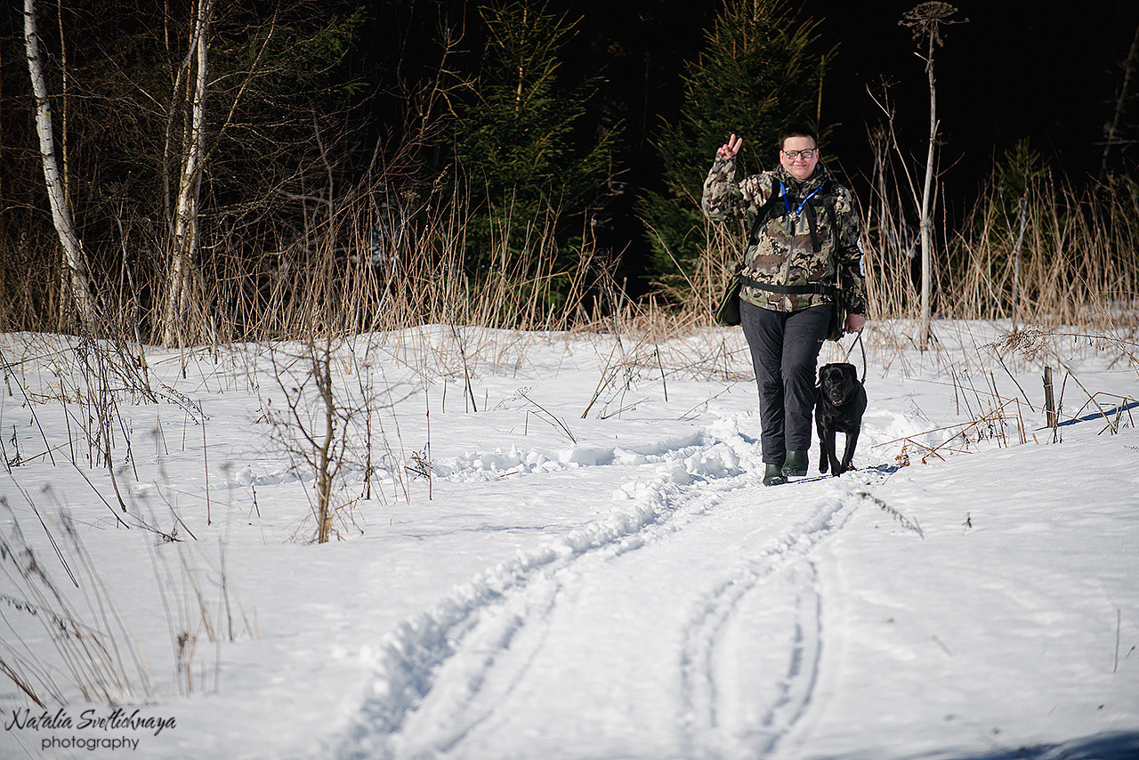 Тренировочный воркинг тест Школы Шмеля 18 марта 2023. Фотограф-анималист Наталья Светличная