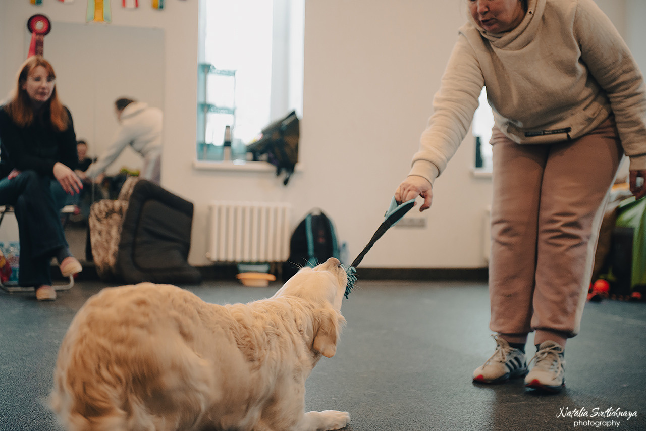 Семинар с Марией Рыбкиной «Игры с собаками» (24.02.2023). Фотограф-анималист Наталья Светличная