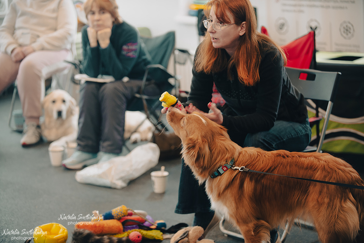 Семинар с Марией Рыбкиной «Игры с собаками» (24.02.2023). Фотограф-анималист Наталья Светличная