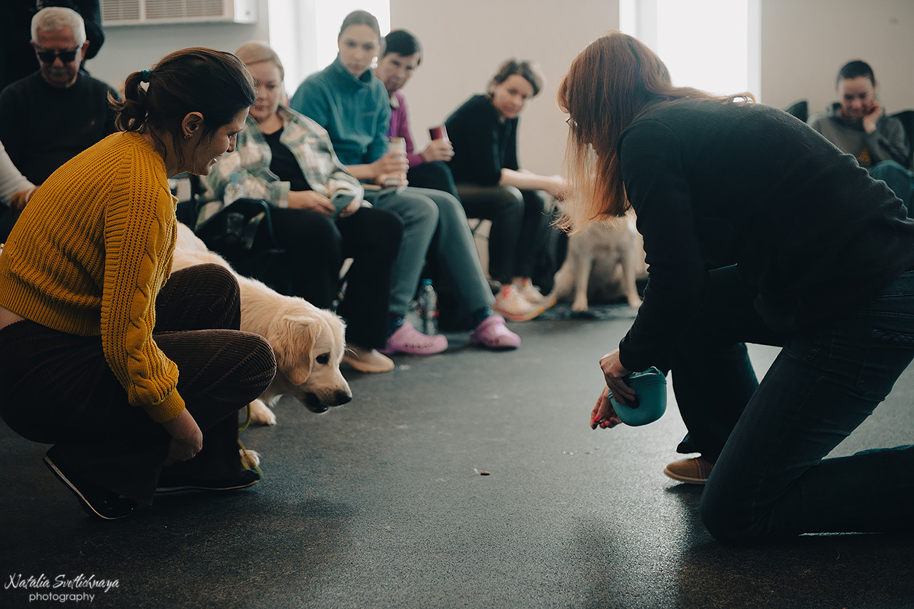 Семинар с Марией Рыбкиной «Игры с собаками» (24.02.2023). Фотограф-анималист Наталья Светличная