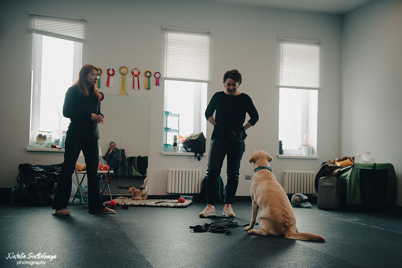 Семинар с Марией Рыбкиной «Игры с собаками» (24.02.2023). Фотограф-анималист Наталья Светличная