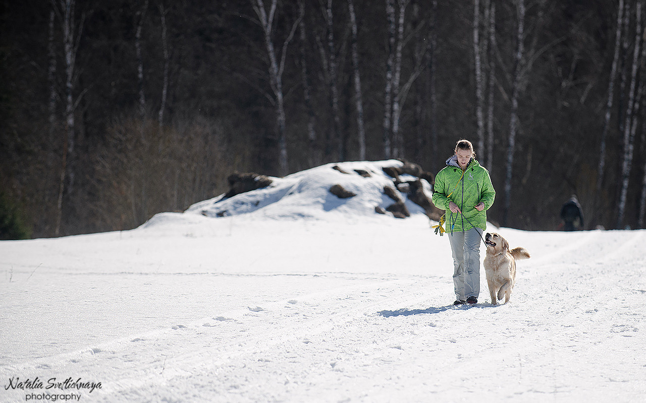 Тренировочный воркинг тест Школы Шмеля 18 марта 2023. Фотограф-анималист Наталья Светличная