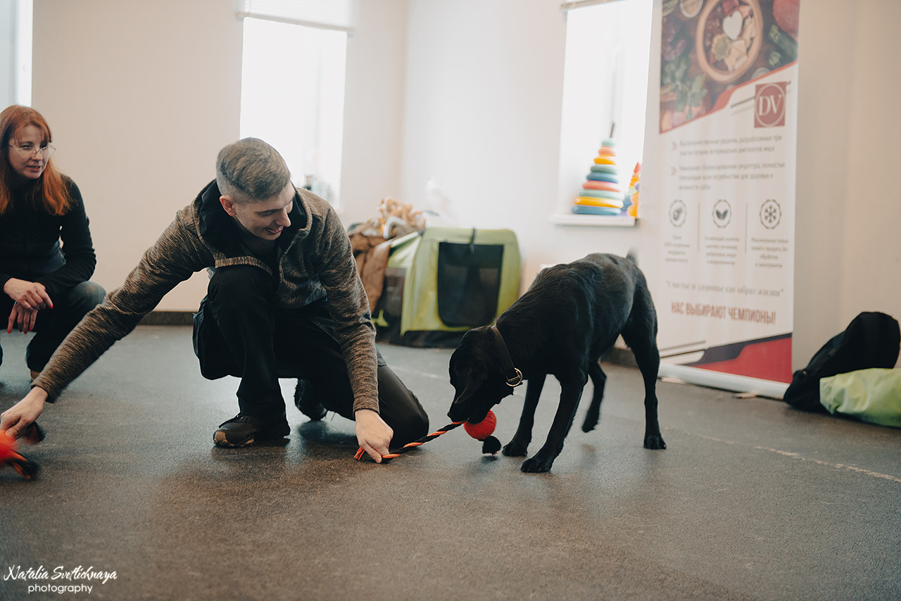 Семинар с Марией Рыбкиной «Игры с собаками» (24.02.2023). Фотограф-анималист Наталья Светличная