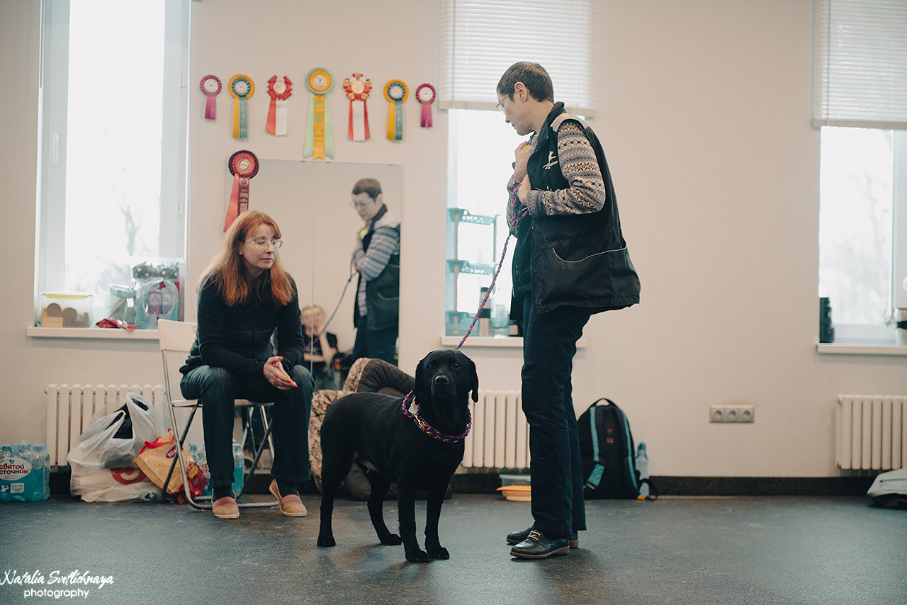 Семинар с Марией Рыбкиной «Игры с собаками» (24.02.2023). Фотограф-анималист Наталья Светличная
