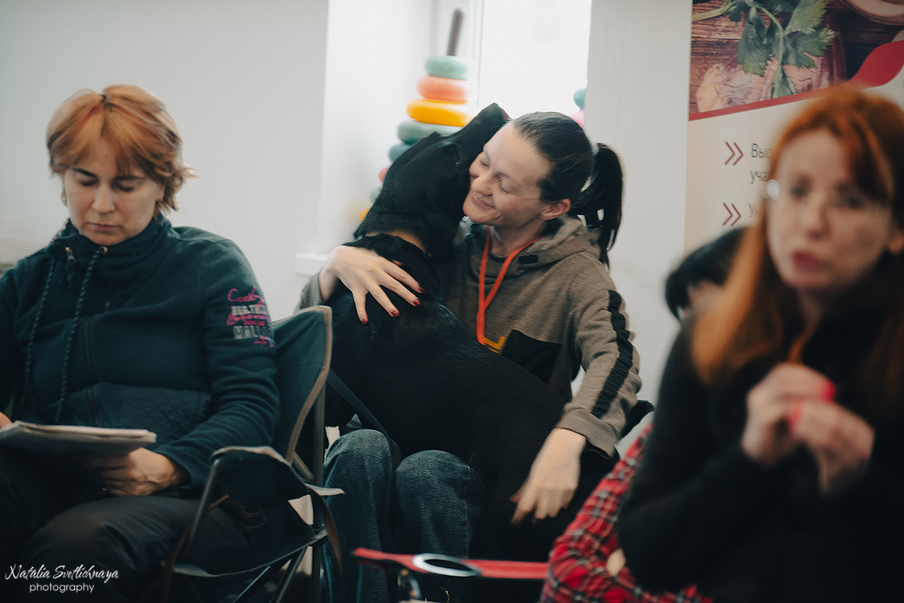 Семинар с Марией Рыбкиной «Игры с собаками» (24.02.2023). Фотограф-анималист Наталья Светличная