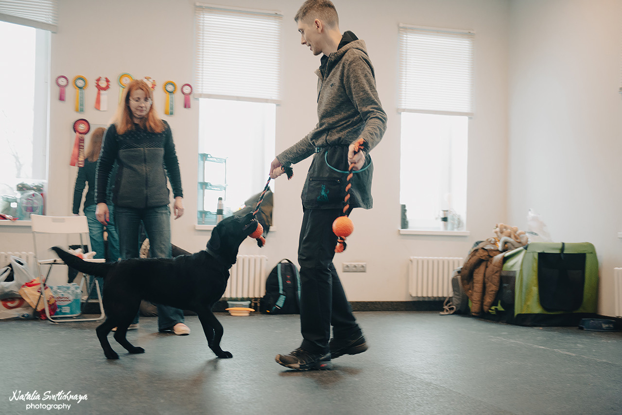 Семинар с Марией Рыбкиной «Игры с собаками» (24.02.2023). Фотограф-анималист Наталья Светличная