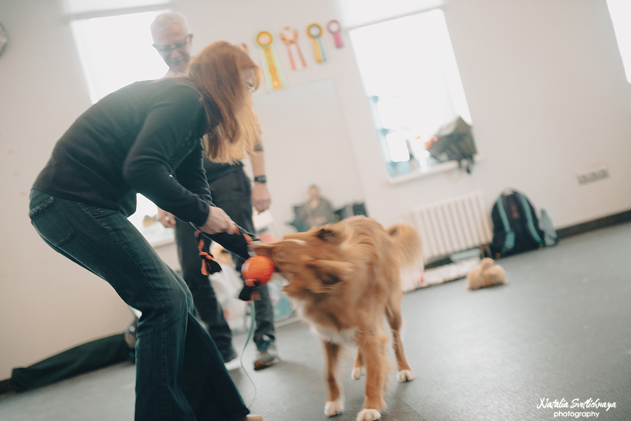 Семинар с Марией Рыбкиной «Игры с собаками» (24.02.2023). Фотограф-анималист Наталья Светличная