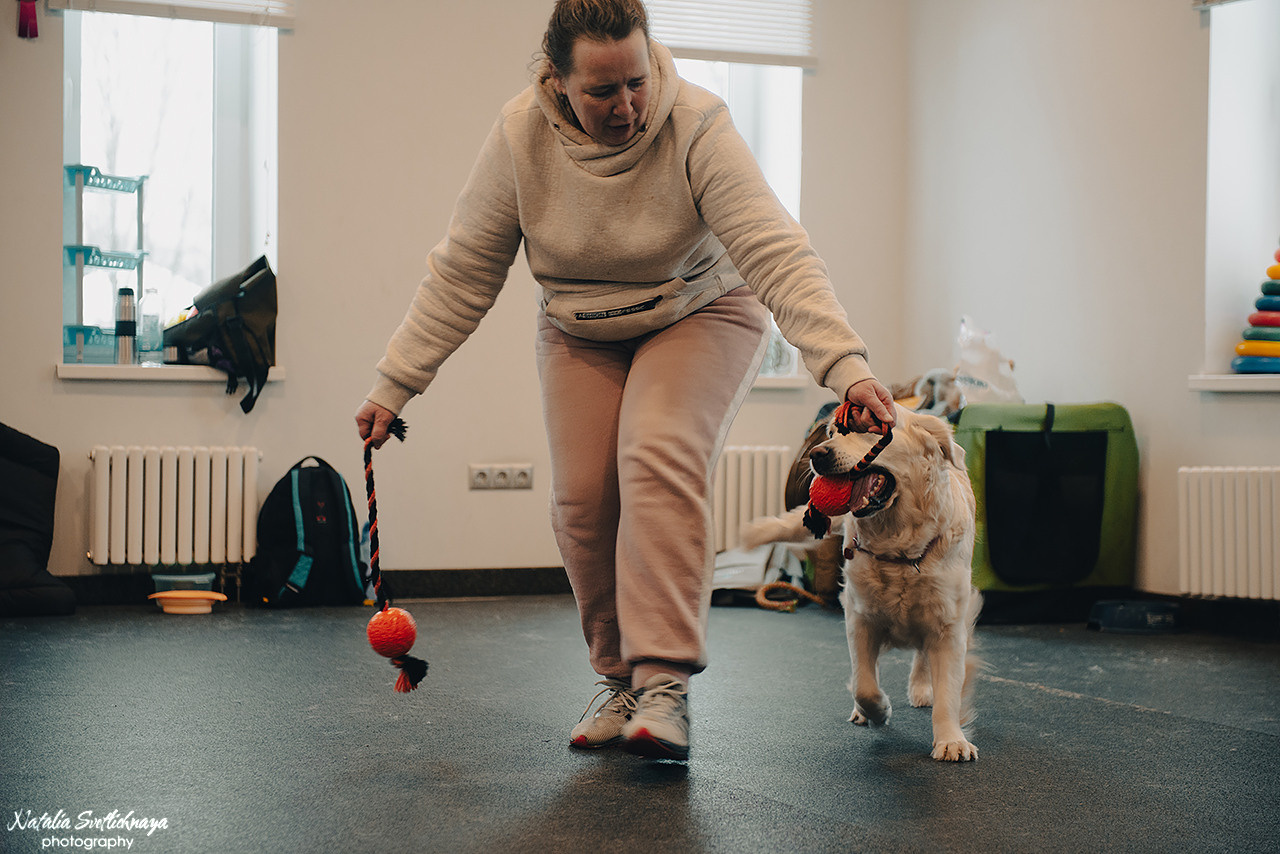Семинар с Марией Рыбкиной «Игры с собаками» (24.02.2023). Фотограф-анималист Наталья Светличная