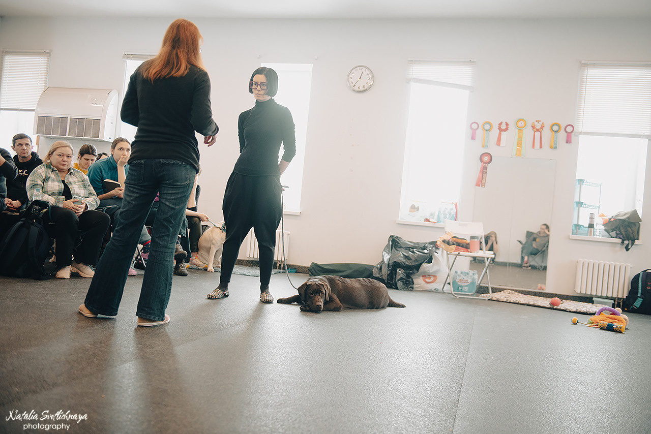 Семинар с Марией Рыбкиной «Игры с собаками» (24.02.2023). Фотограф-анималист Наталья Светличная