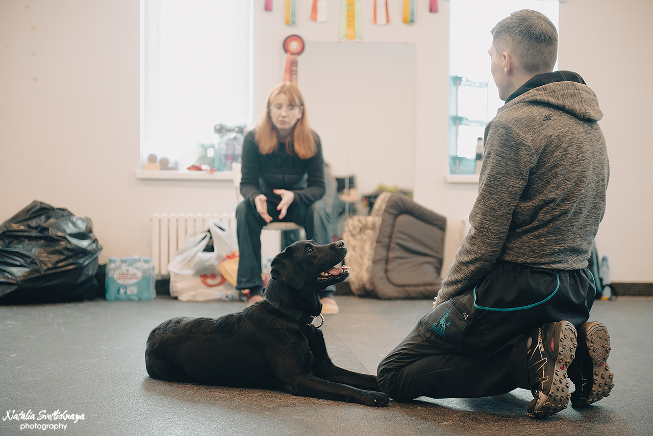 Семинар с Марией Рыбкиной «Игры с собаками» (24.02.2023). Фотограф-анималист Наталья Светличная
