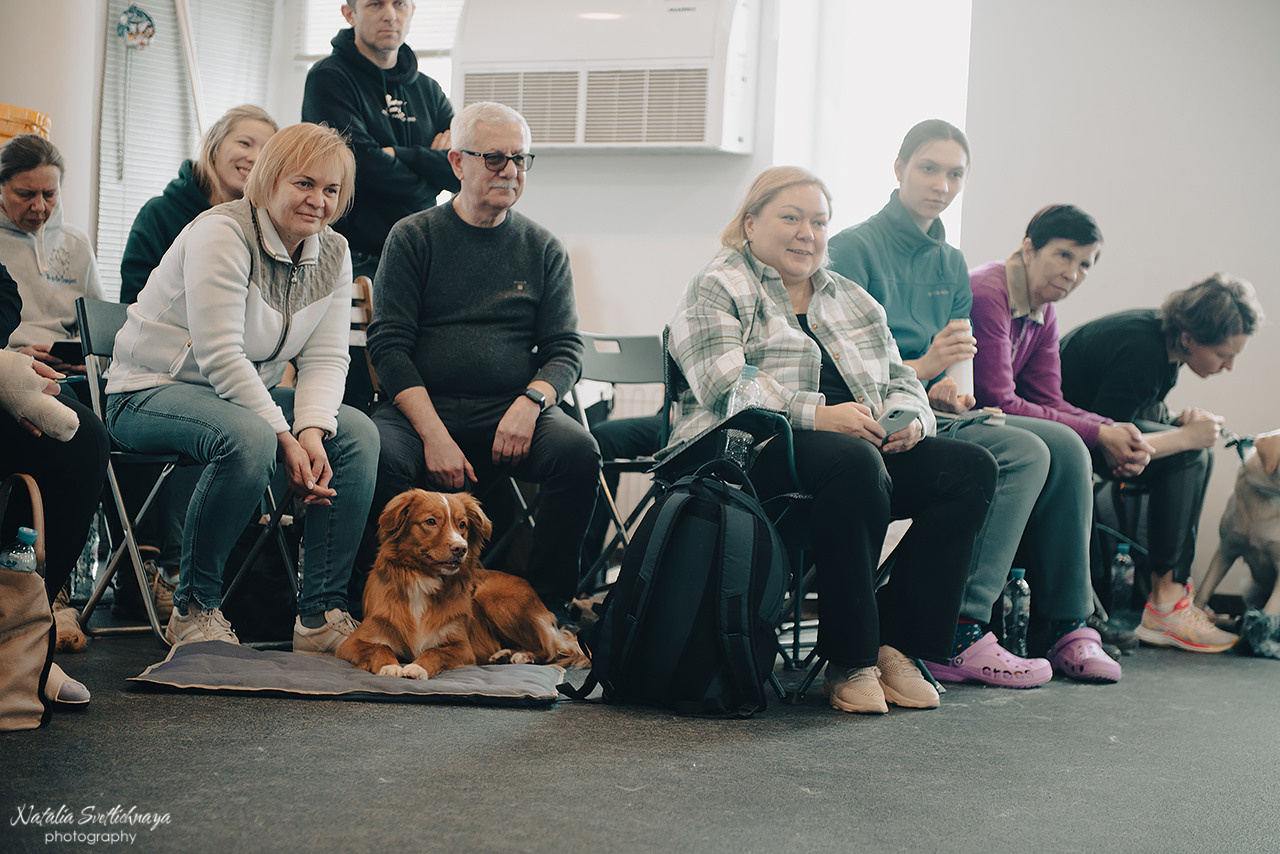 Семинар с Марией Рыбкиной «Игры с собаками» (24.02.2023). Фотограф-анималист Наталья Светличная