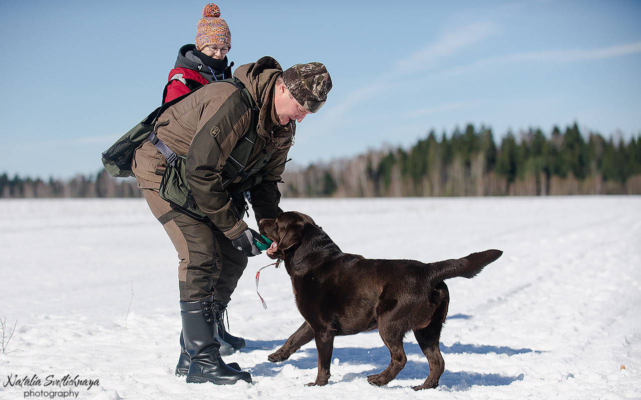 Тренировочный воркинг тест Школы Шмеля 18 марта 2023. Фотограф-анималист Наталья Светличная