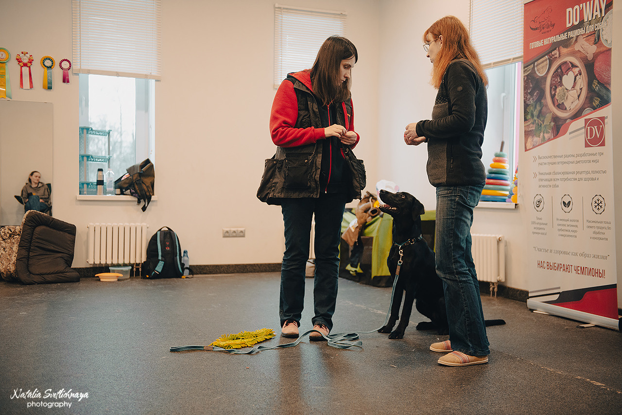 Семинар с Марией Рыбкиной «Игры с собаками» (24.02.2023). Фотограф-анималист Наталья Светличная