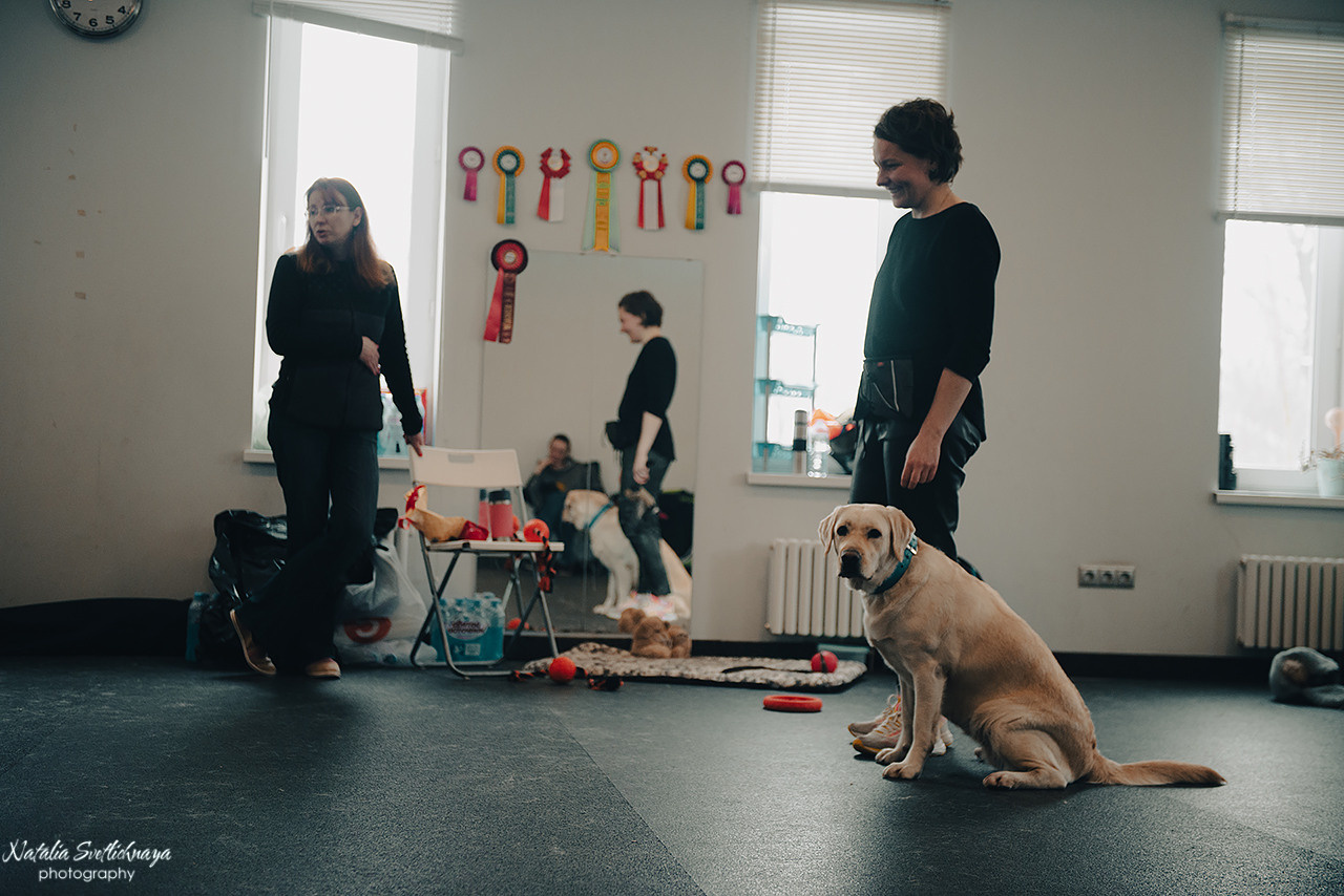 Семинар с Марией Рыбкиной «Игры с собаками» (24.02.2023). Фотограф-анималист Наталья Светличная