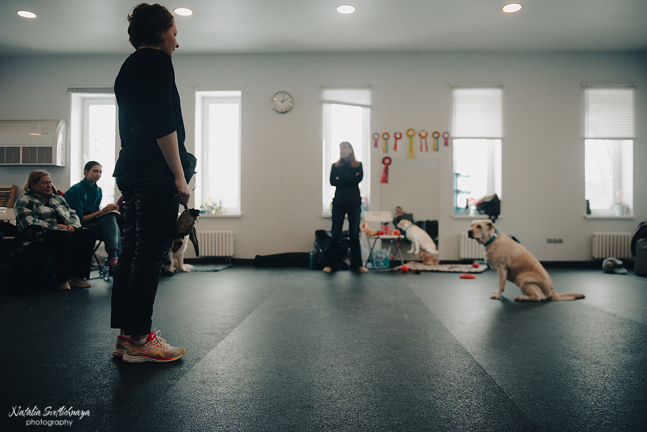 Семинар с Марией Рыбкиной «Игры с собаками» (24.02.2023). Фотограф-анималист Наталья Светличная
