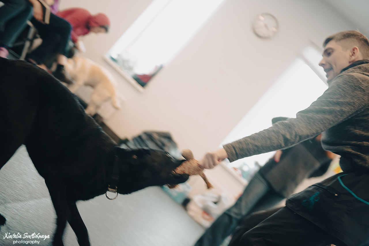 Семинар с Марией Рыбкиной «Игры с собаками» (24.02.2023). Фотограф-анималист Наталья Светличная