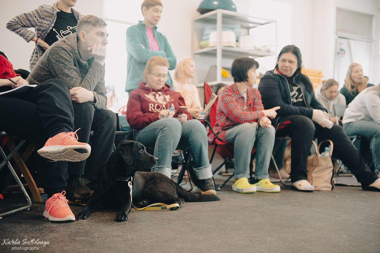Семинар с Марией Рыбкиной «Игры с собаками» (24.02.2023). Фотограф-анималист Наталья Светличная