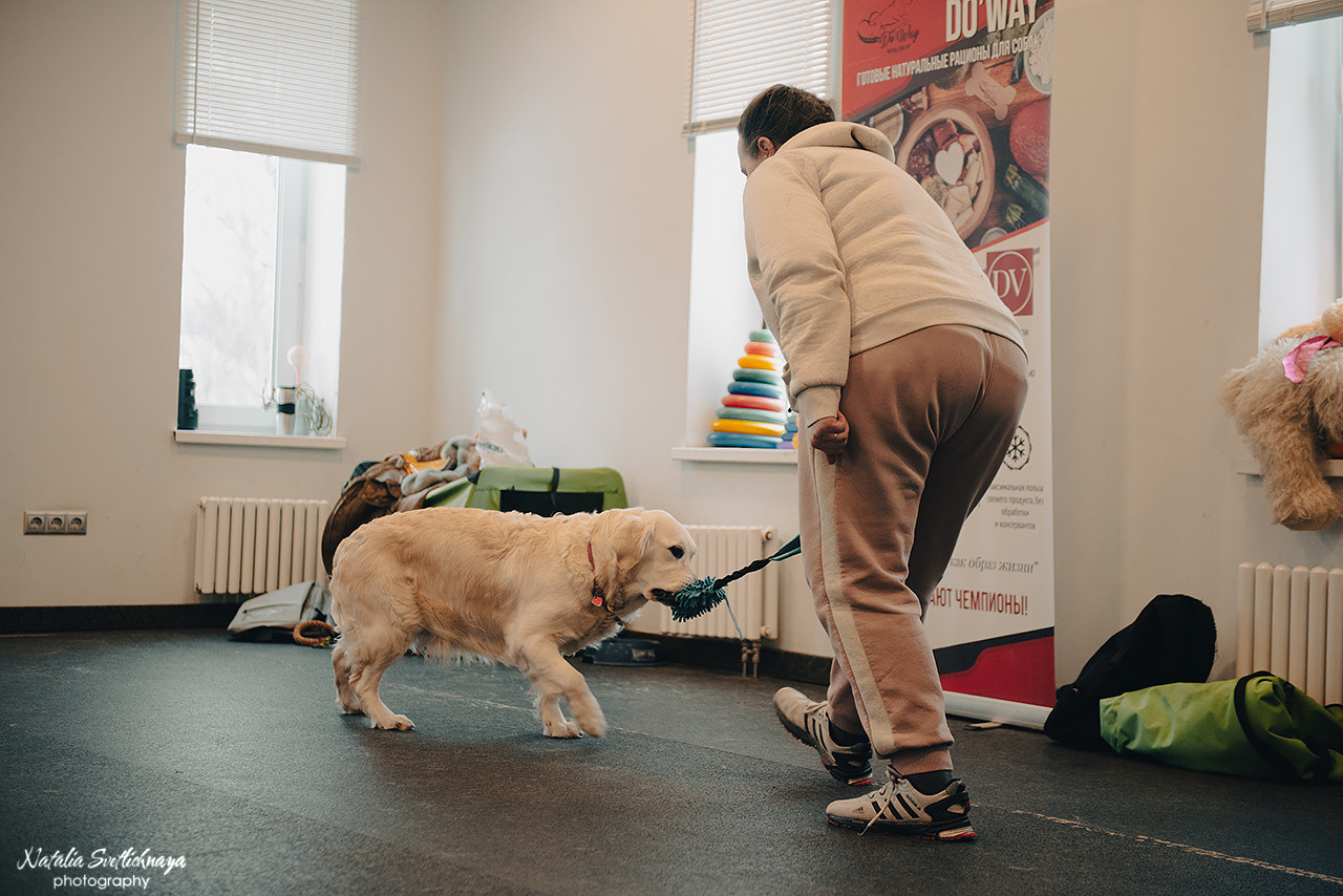 Семинар с Марией Рыбкиной «Игры с собаками» (24.02.2023). Фотограф-анималист Наталья Светличная