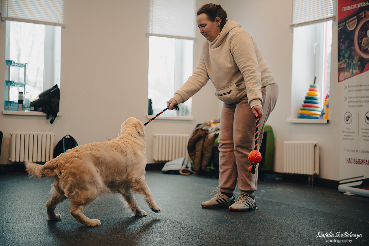 Семинар с Марией Рыбкиной «Игры с собаками» (24.02.2023). Фотограф-анималист Наталья Светличная