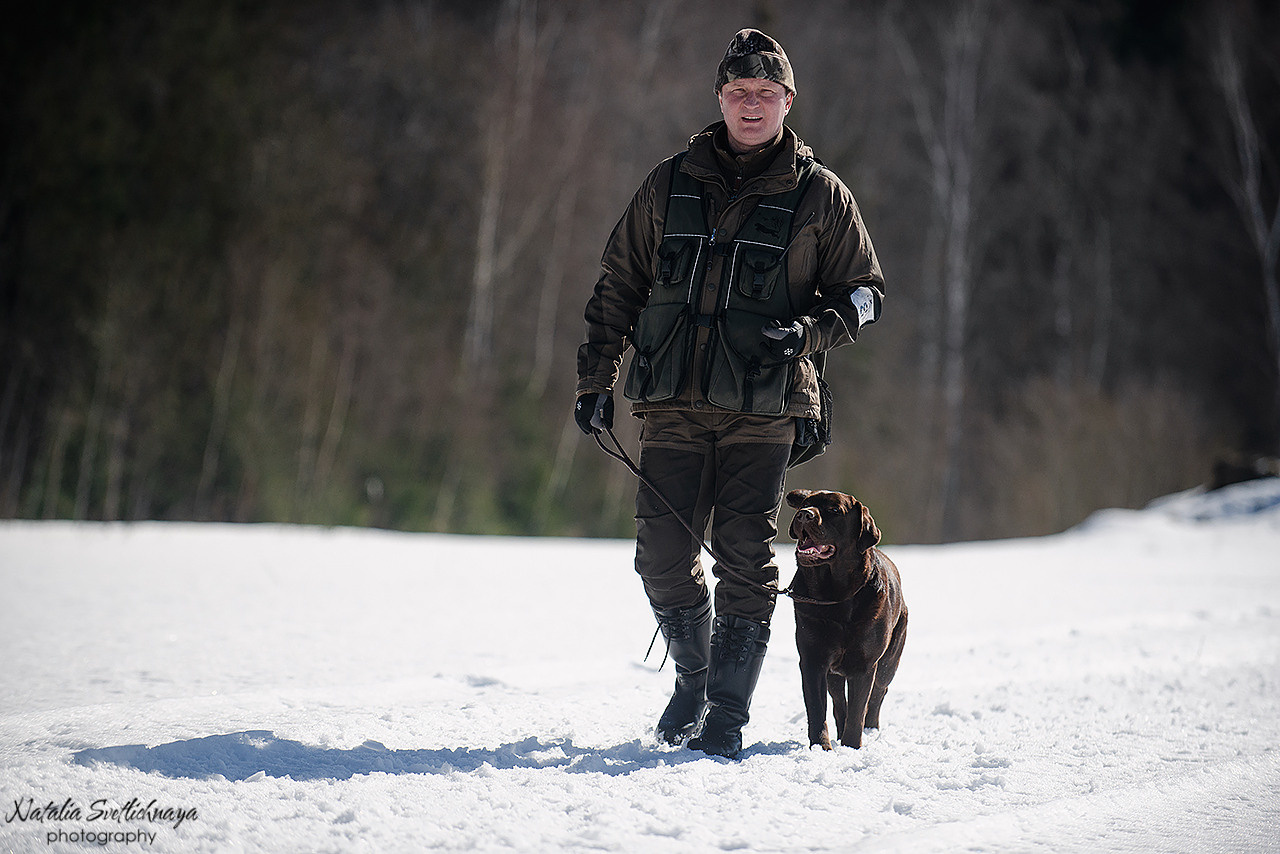 Тренировочный воркинг тест Школы Шмеля 18 марта 2023. Фотограф-анималист Наталья Светличная