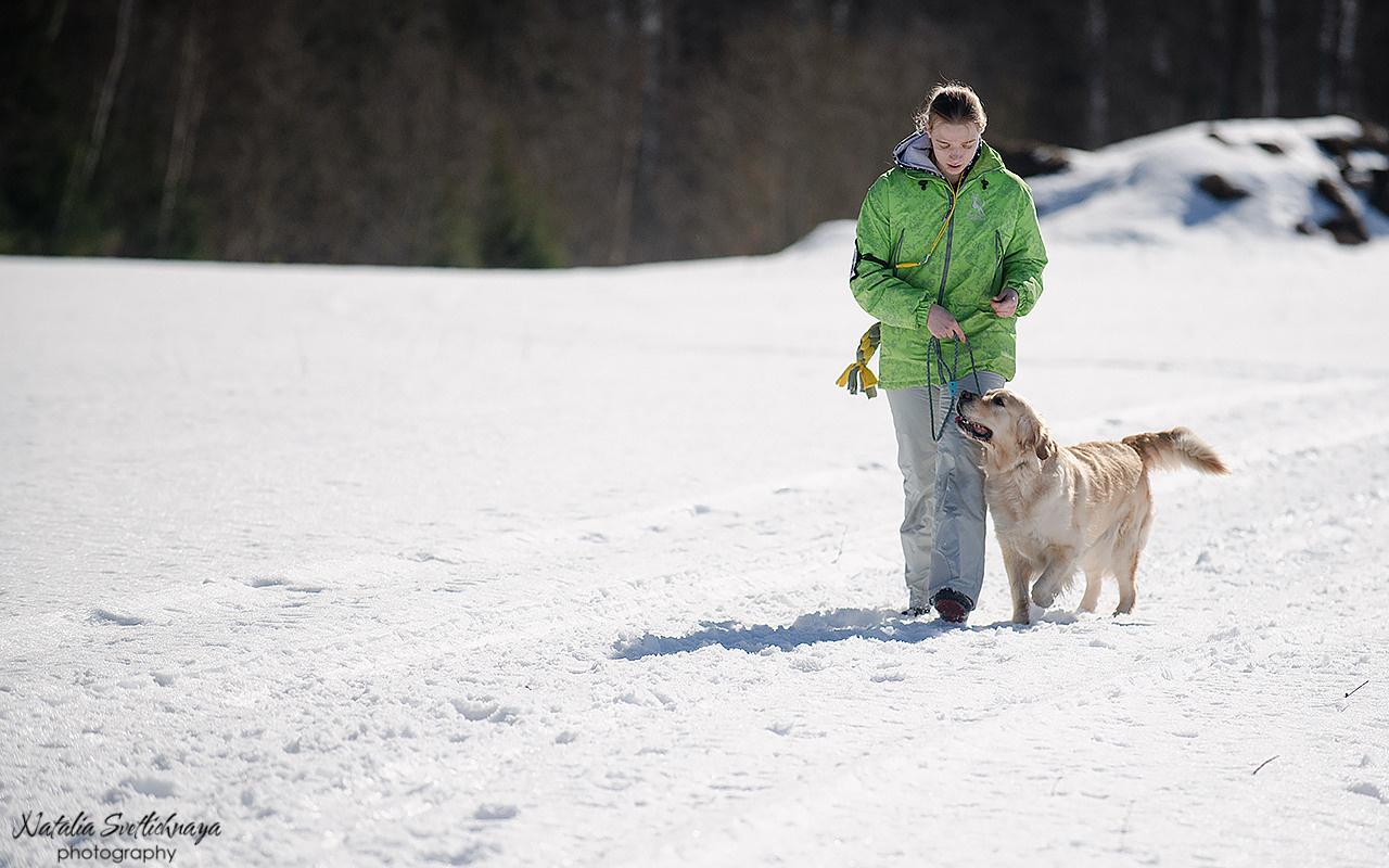 Тренировочный воркинг тест Школы Шмеля 18 марта 2023. Фотограф-анималист Наталья Светличная