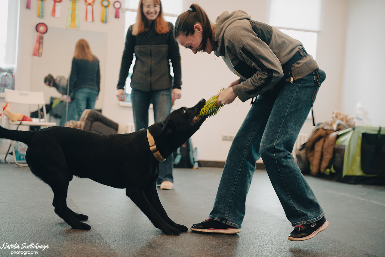 Семинар с Марией Рыбкиной «Игры с собаками» (24.02.2023). Фотограф-анималист Наталья Светличная