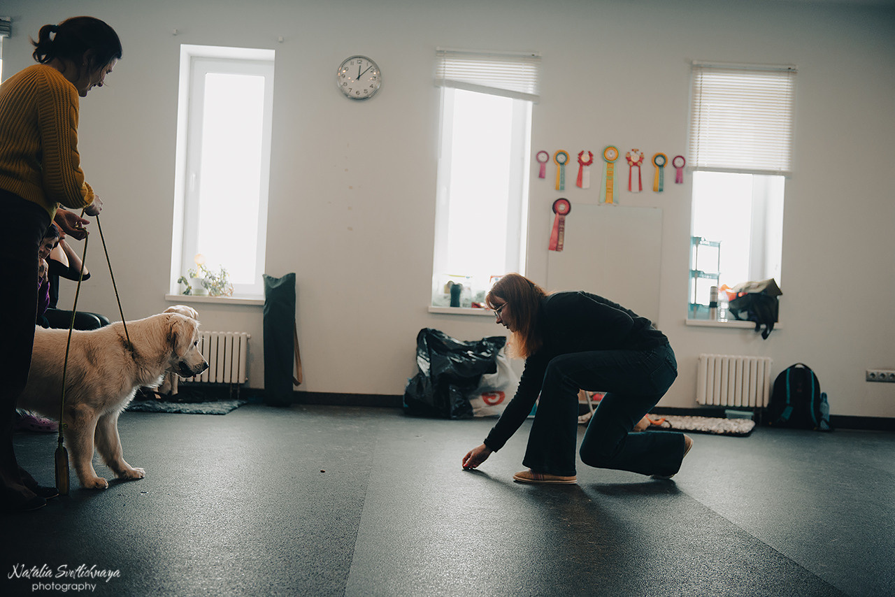 Семинар с Марией Рыбкиной «Игры с собаками» (24.02.2023). Фотограф-анималист Наталья Светличная