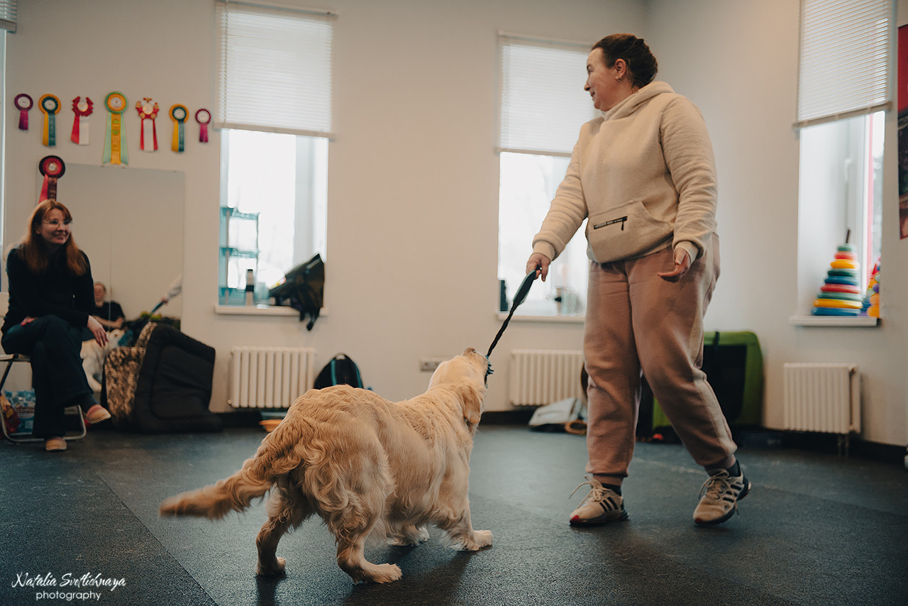 Семинар с Марией Рыбкиной «Игры с собаками» (24.02.2023). Фотограф-анималист Наталья Светличная