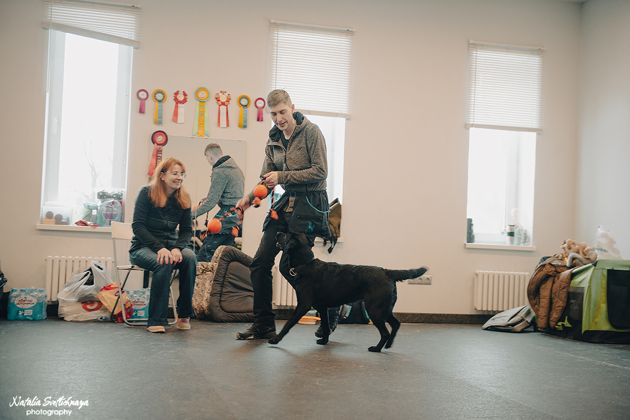 Семинар с Марией Рыбкиной «Игры с собаками» (24.02.2023). Фотограф-анималист Наталья Светличная