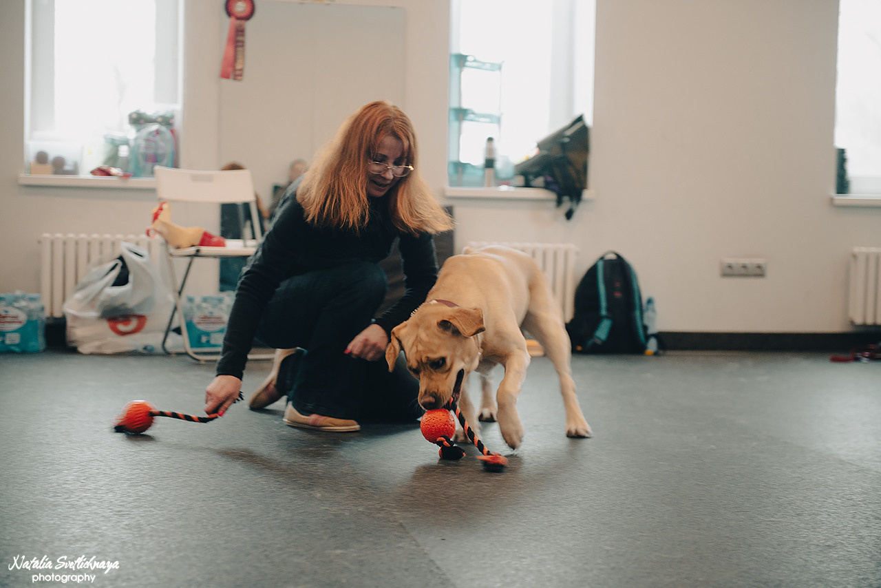 Семинар с Марией Рыбкиной «Игры с собаками» (24.02.2023). Фотограф-анималист Наталья Светличная