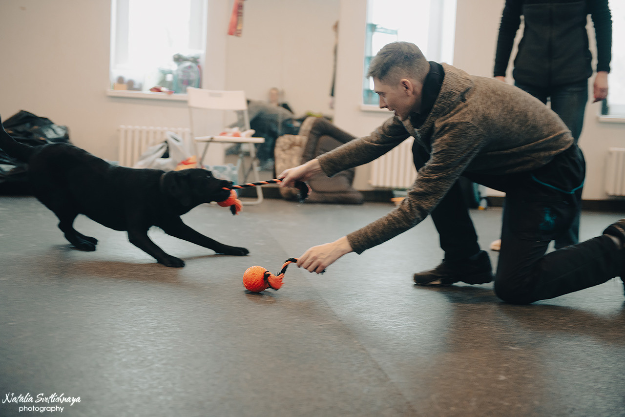 Семинар с Марией Рыбкиной «Игры с собаками» (24.02.2023). Фотограф-анималист Наталья Светличная