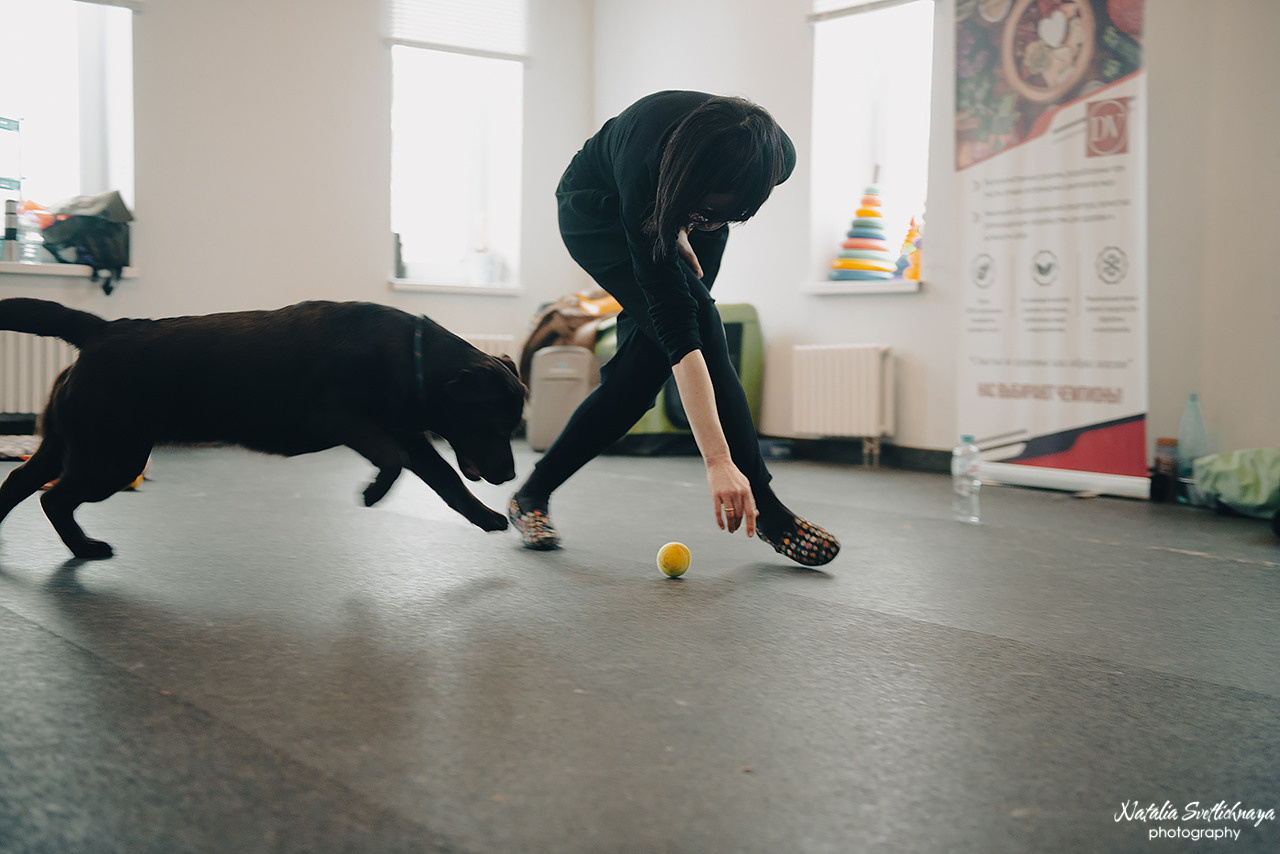 Семинар с Марией Рыбкиной «Игры с собаками» (24.02.2023). Фотограф-анималист Наталья Светличная