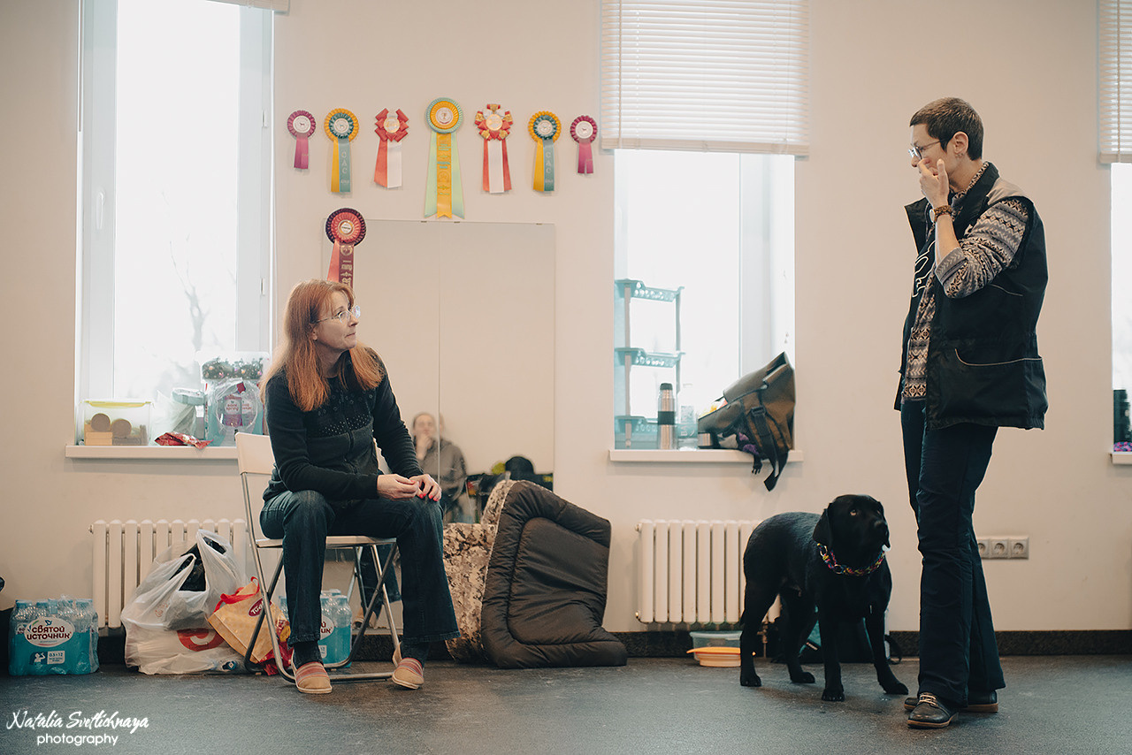 Семинар с Марией Рыбкиной «Игры с собаками» (24.02.2023). Фотограф-анималист Наталья Светличная