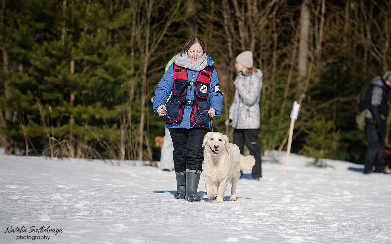Тренировочный воркинг тест Школы Шмеля 18 марта 2023. Фотограф-анималист Наталья Светличная