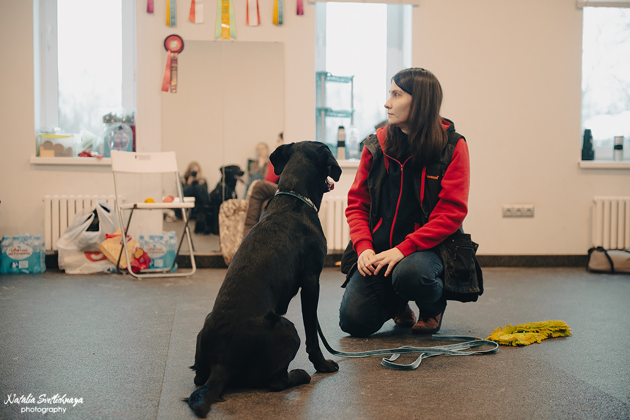 Семинар с Марией Рыбкиной «Игры с собаками» (24.02.2023). Фотограф-анималист Наталья Светличная