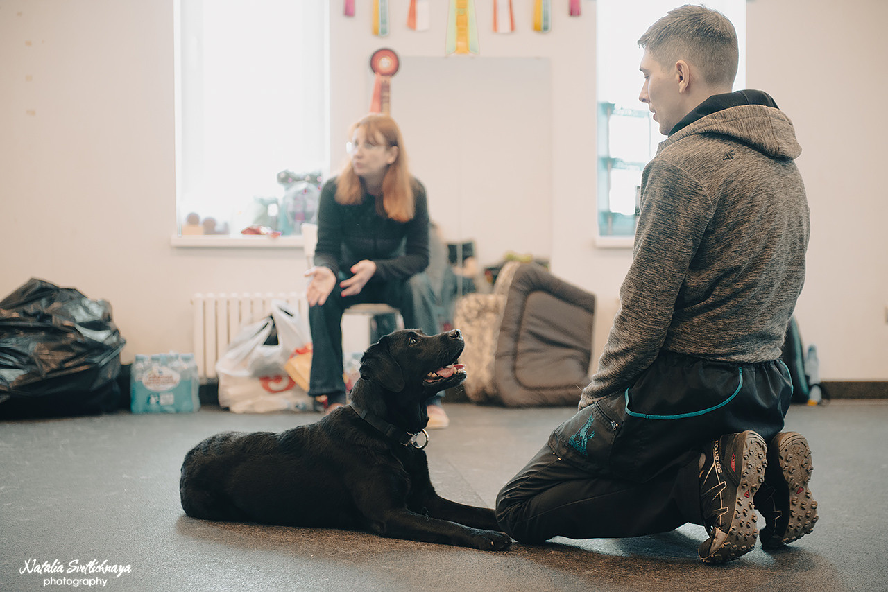 Семинар с Марией Рыбкиной «Игры с собаками» (24.02.2023). Фотограф-анималист Наталья Светличная