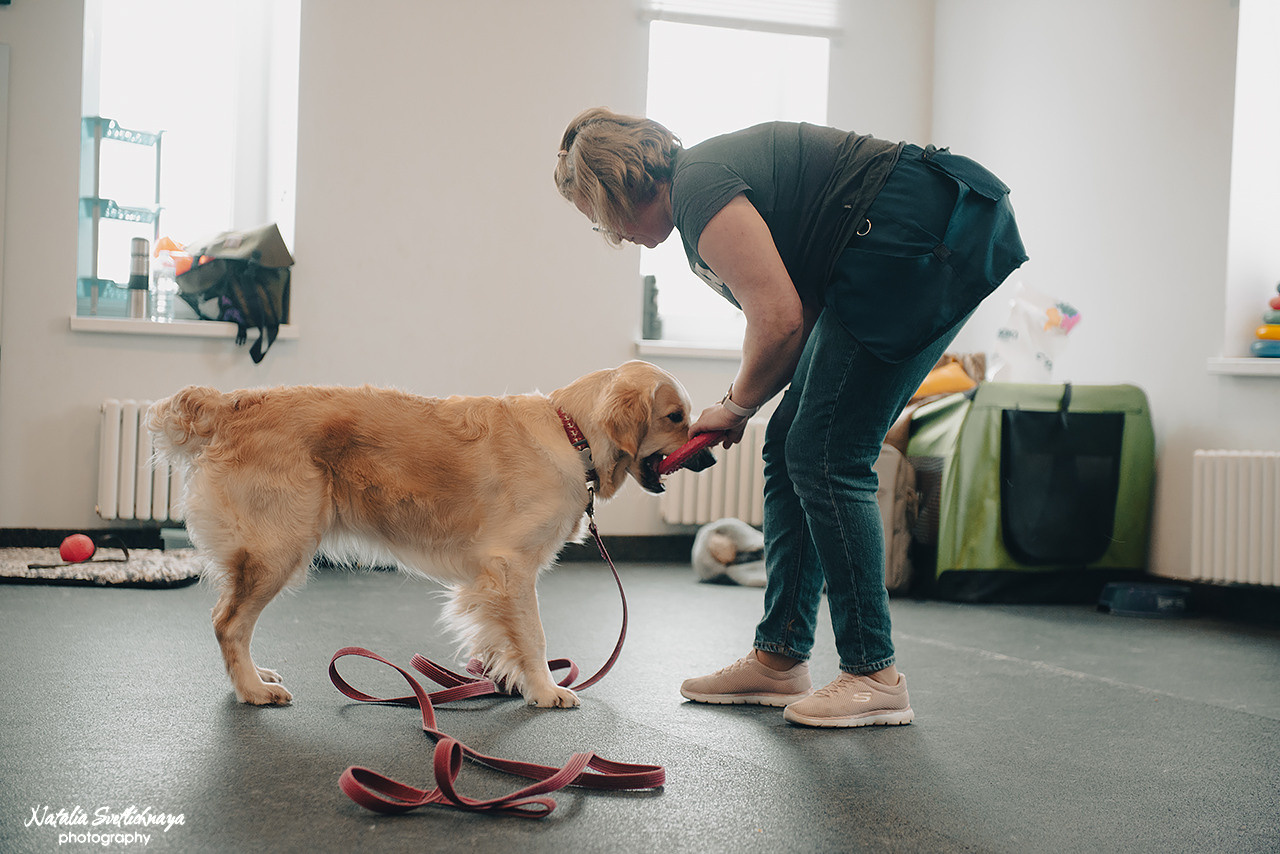 Семинар с Марией Рыбкиной «Игры с собаками» (24.02.2023). Фотограф-анималист Наталья Светличная