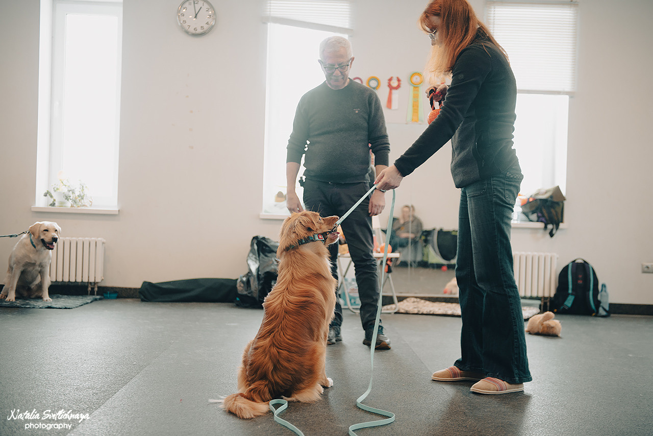 Семинар с Марией Рыбкиной «Игры с собаками» (24.02.2023). Фотограф-анималист Наталья Светличная