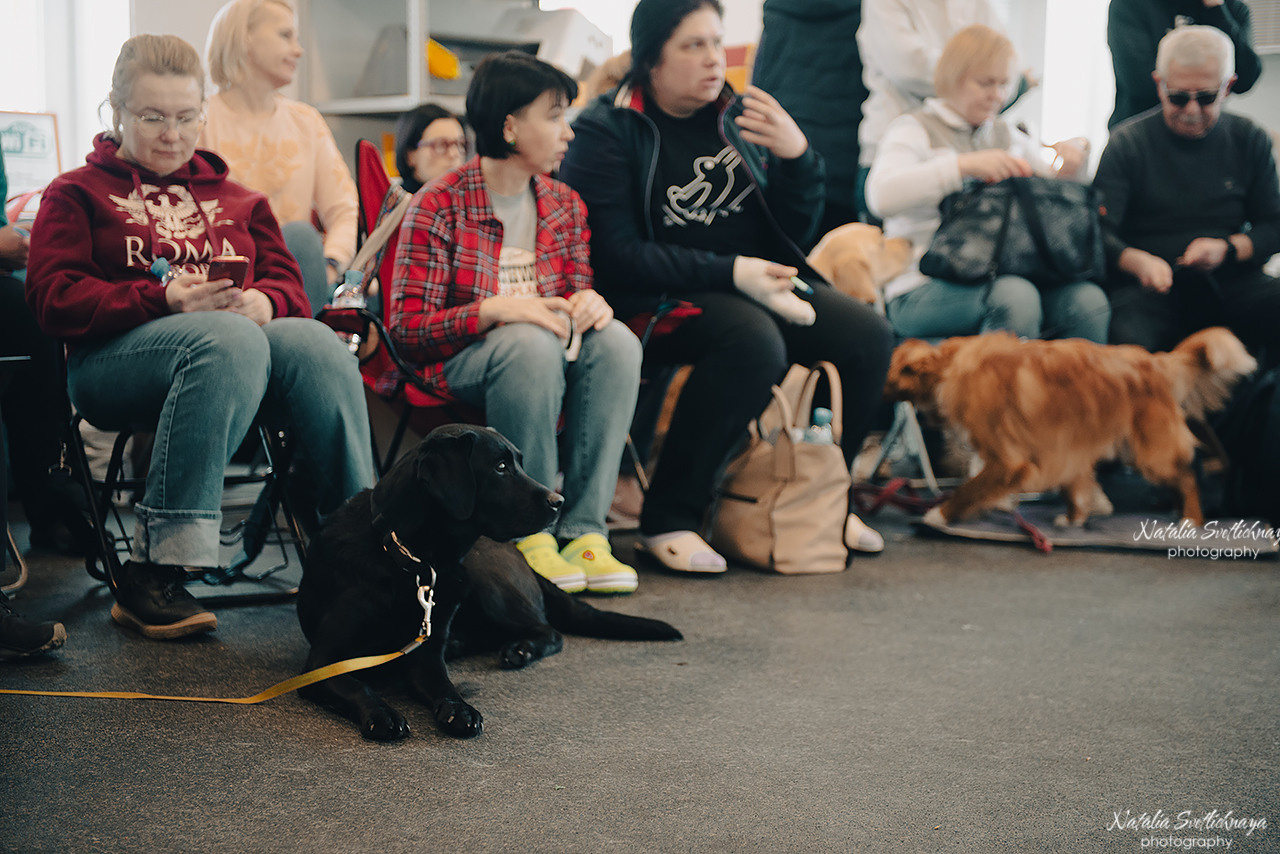 Семинар с Марией Рыбкиной «Игры с собаками» (24.02.2023). Фотограф-анималист Наталья Светличная