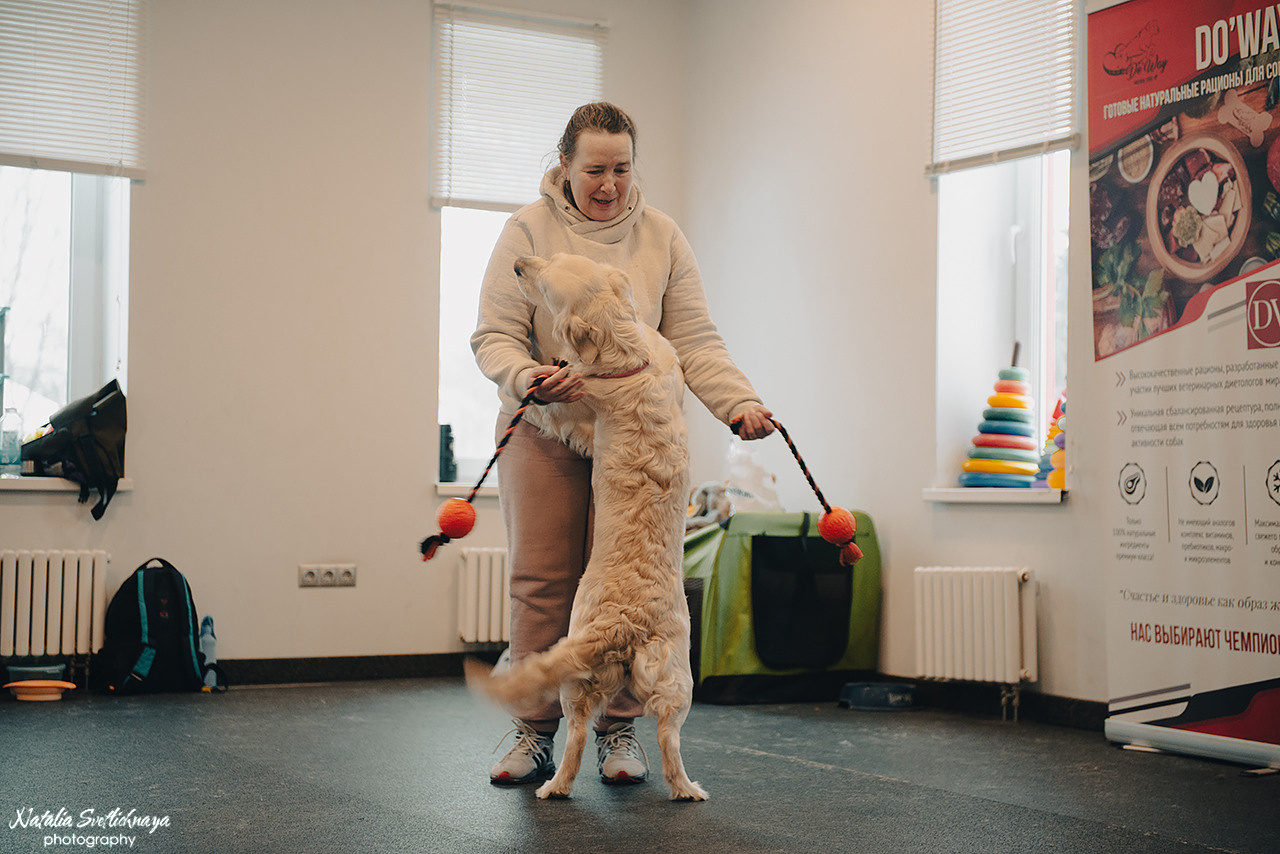 Семинар с Марией Рыбкиной «Игры с собаками» (24.02.2023). Фотограф-анималист Наталья Светличная
