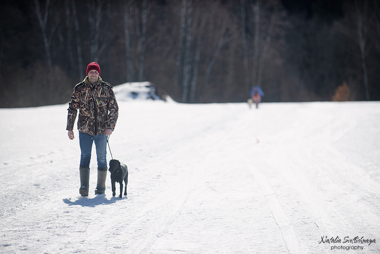 Тренировочный воркинг тест Школы Шмеля 18 марта 2023. Фотограф-анималист Наталья Светличная