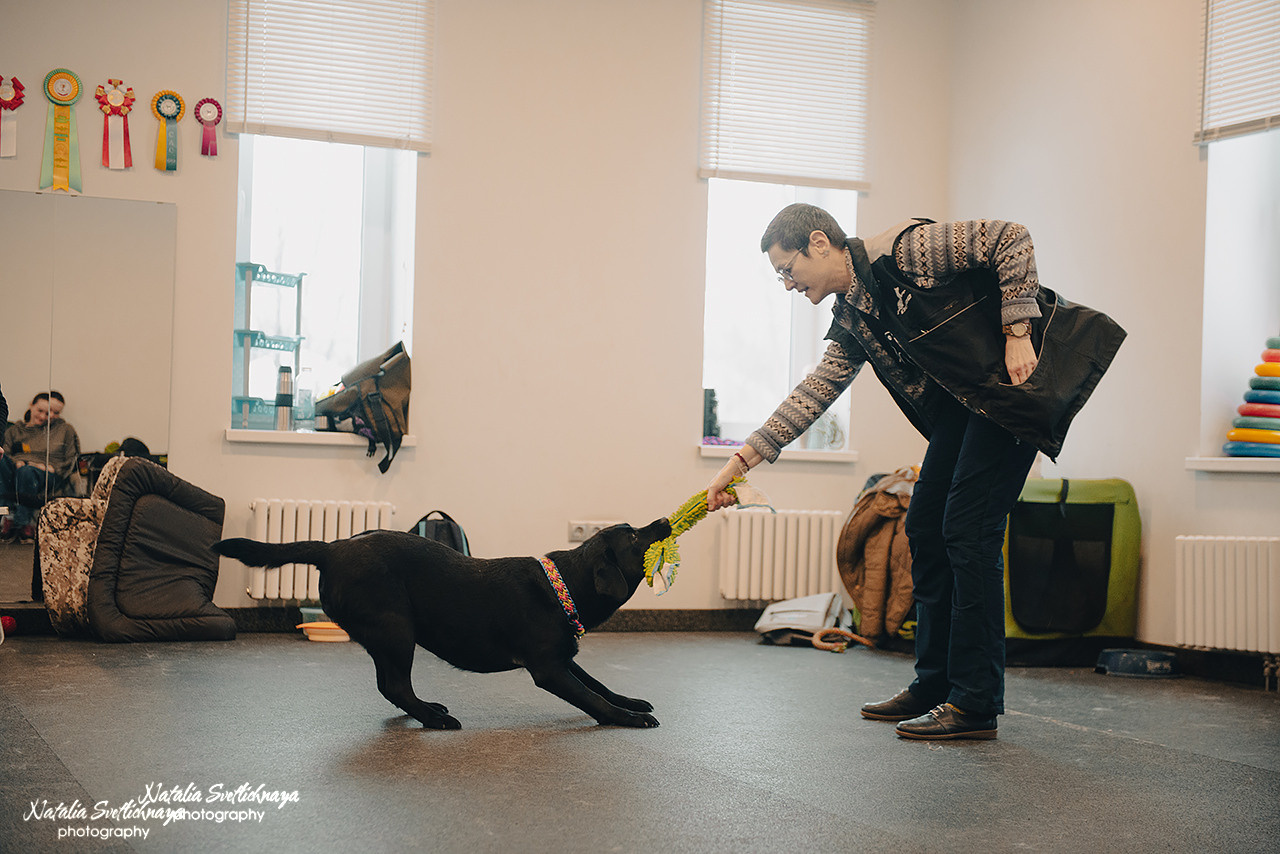 Семинар с Марией Рыбкиной «Игры с собаками» (24.02.2023). Фотограф-анималист Наталья Светличная