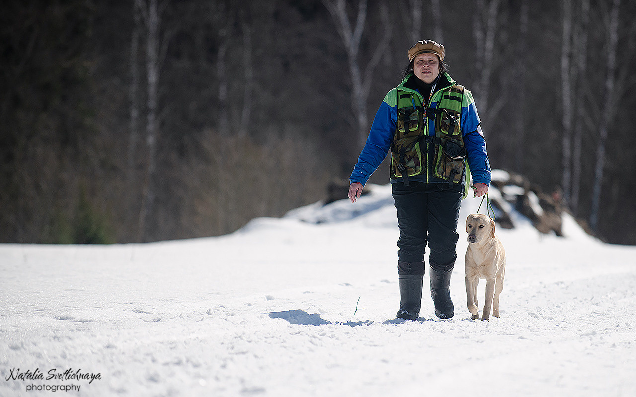 Тренировочный воркинг тест Школы Шмеля 18 марта 2023. Фотограф-анималист Наталья Светличная